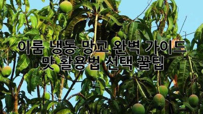 이룸 냉동 망고🥭 완벽 가이드: 맛, 활용법, 선택 꿀팁!