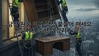 담양 원룸 이사? 걱정 붙들어 매세요! 용달이사 소형짐 정리 노하우