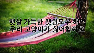 햇살 가득한 캣윈도우 해먹, 우리 고양이가 싫어할까요?