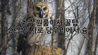 충주 원룸이사 꿀팁🍯 용달이사로 당우리에서 슝💨